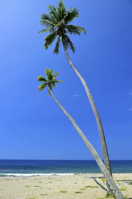 best south pacific islands to visit