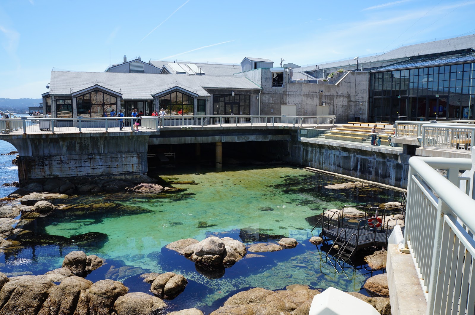 Visitor's Guide to the Monterey Bay Aquarium - Monterey Bay Aquarium Great TiDe Pools