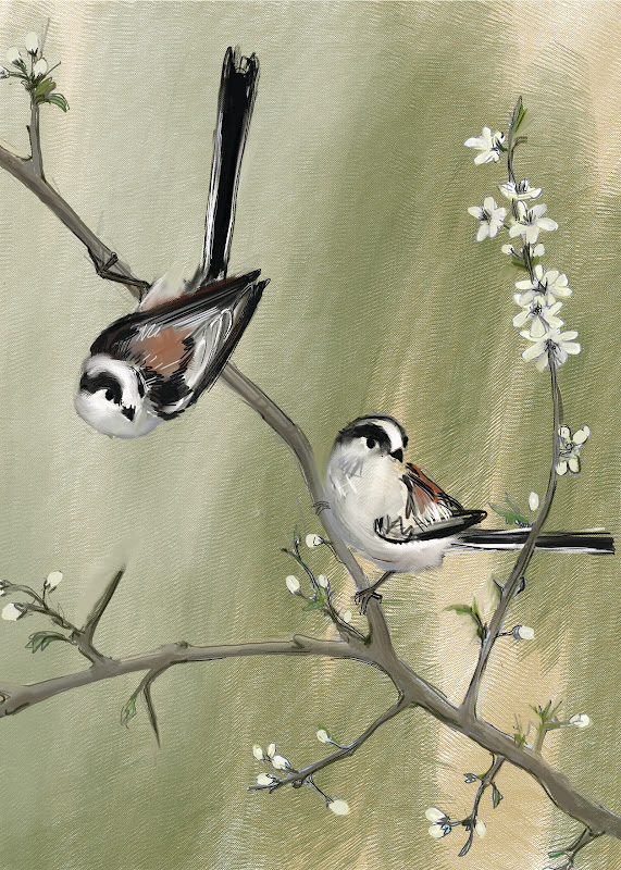 Long-tailed Tit in pair