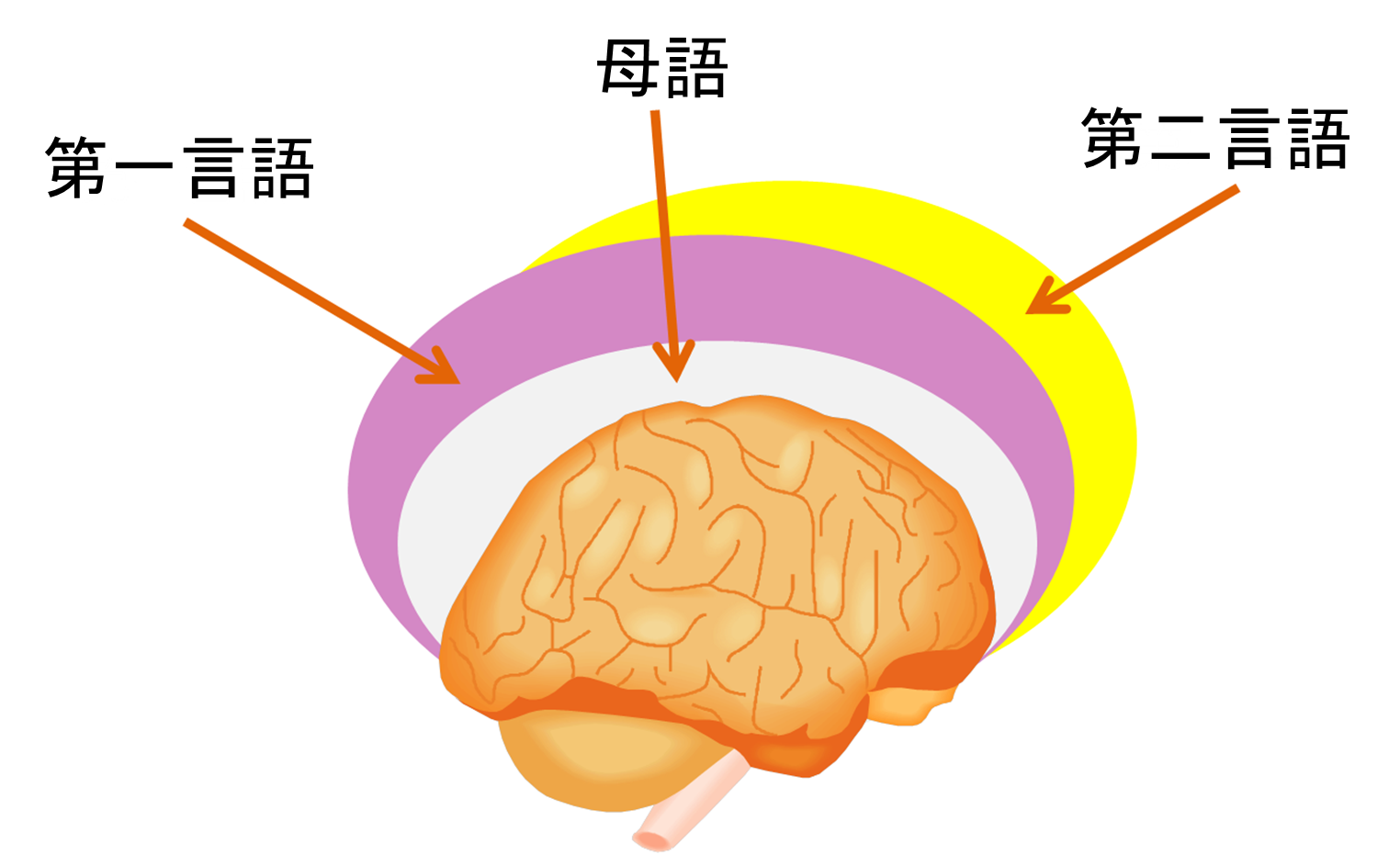 人口過剰: 地球は何人の人を養うことができるでしょうか?
