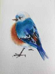 bluebird watercolor watercolors pat three step dolan painting x10 looking left