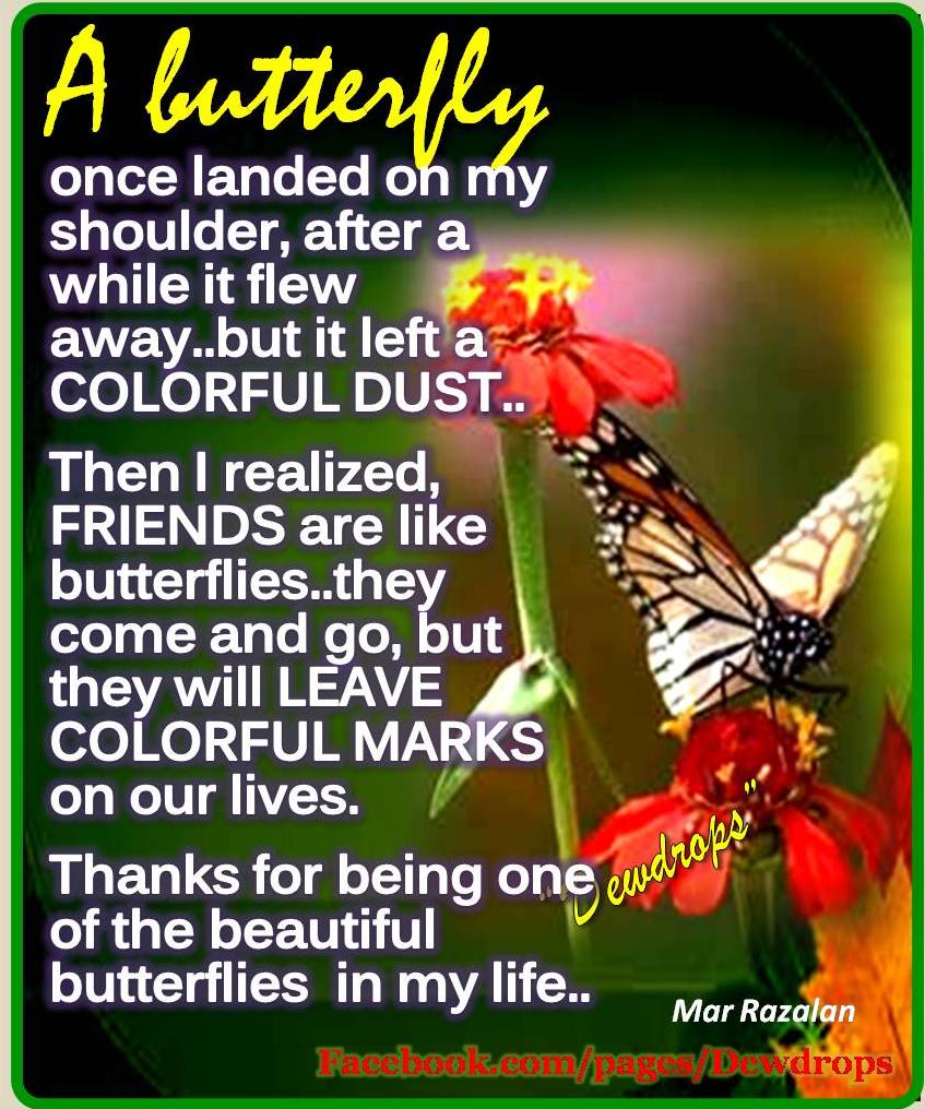 DEWDROPS Friends are like Butterflies who leave beautiful colors in