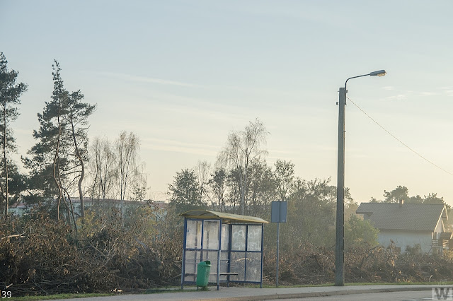 droga ekspresowa s5 bydgoszcz zamość rynarzewo szubin poznań