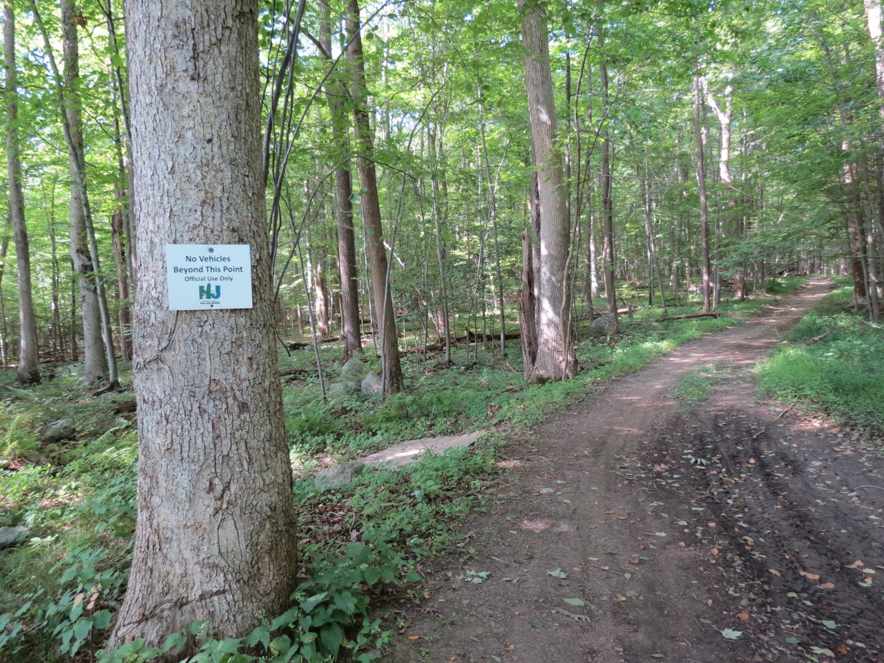 Gone Hikin' Weldon Brook Wildlife Management Area, NJ Yellow Beer Trail