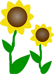 Essay on Sunflower in Hindi