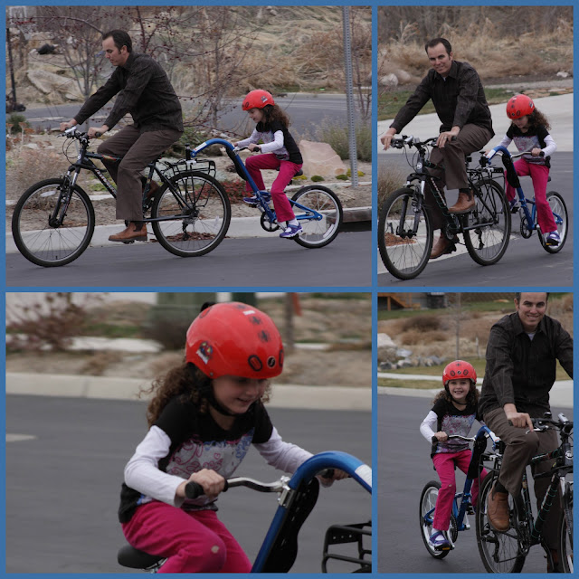 Burley Kazoo Trailercycle and the Plus Review A Sparkle of Genius