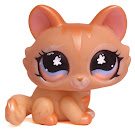 Littlest Pet Shop Special Kitten (#870) Pet