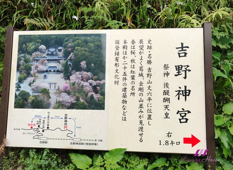 Snappy S Gardens Blog Two Shrubs