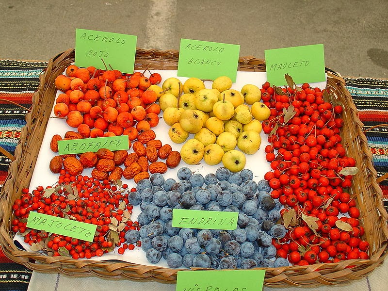 Permaculture De Montagne Que Peut On Cultiver En Montagne