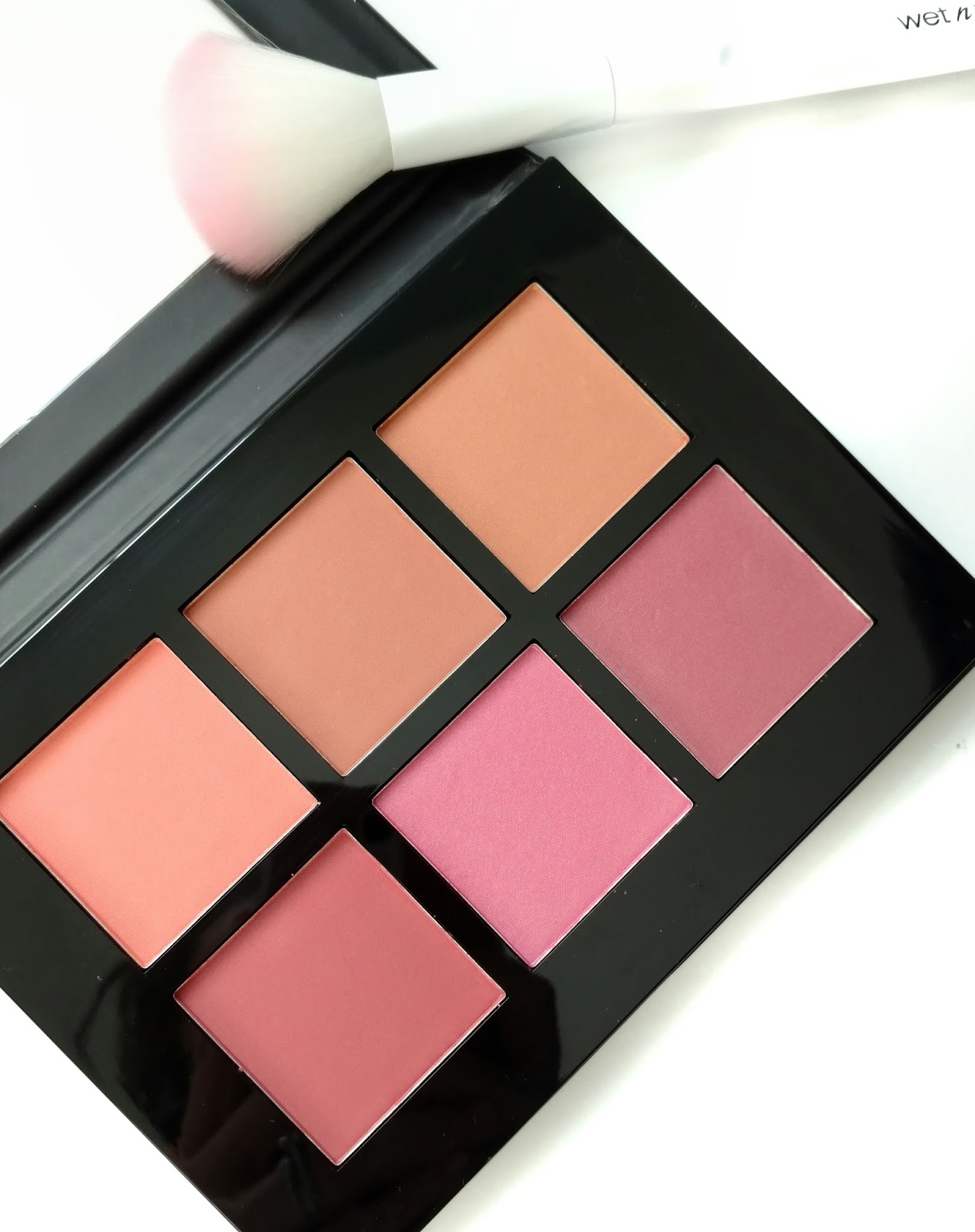 Profusion Studio Blush Palette Review and Swatches The Budget Beauty Blog