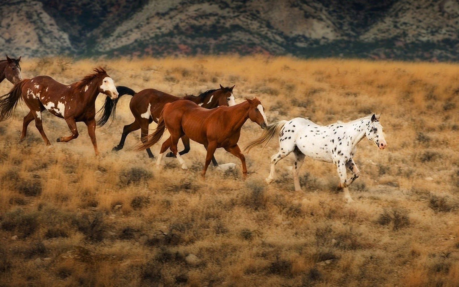 عالمي الخاص: 2018