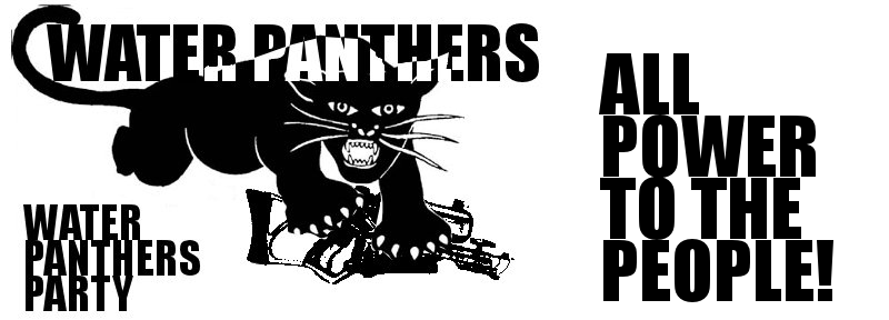 Water Panthers Party