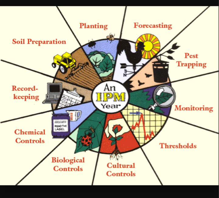 MPD 3233 VECTOR AND PEST CONTROL Vector And Pest Management