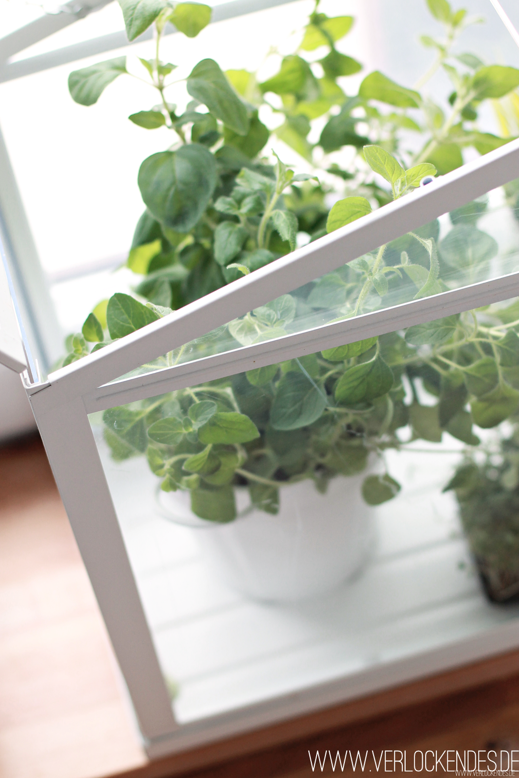 Verlockendes...: Meine neue Küche - und: Einmal alles auf Anfang bitte!