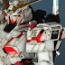 Custom Build: MG 1/100 Unicorn Gundam + MS Cage