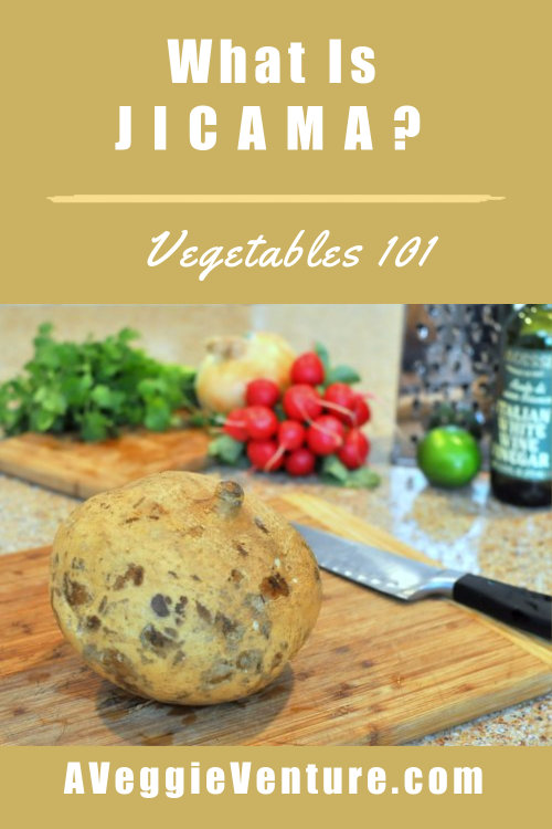 What Is Jicama? More Vegetables 101 ♥ AVeggieVenture.com