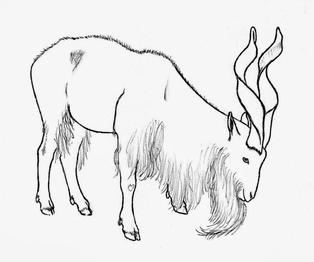 Kindergarten Worksheet Guide Pictures Clip art Line