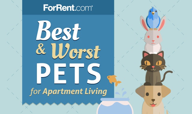 Best and Worst Pets for Apartment Living