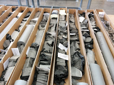 Shale samples from our core store