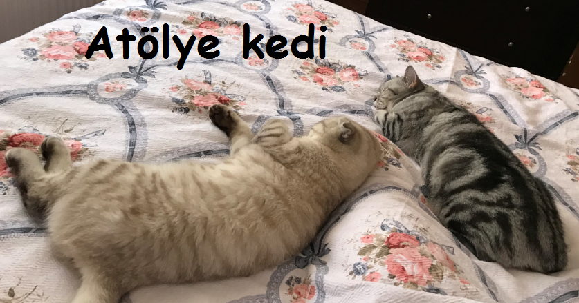 Atölye Kedi Cumadan Pazara…