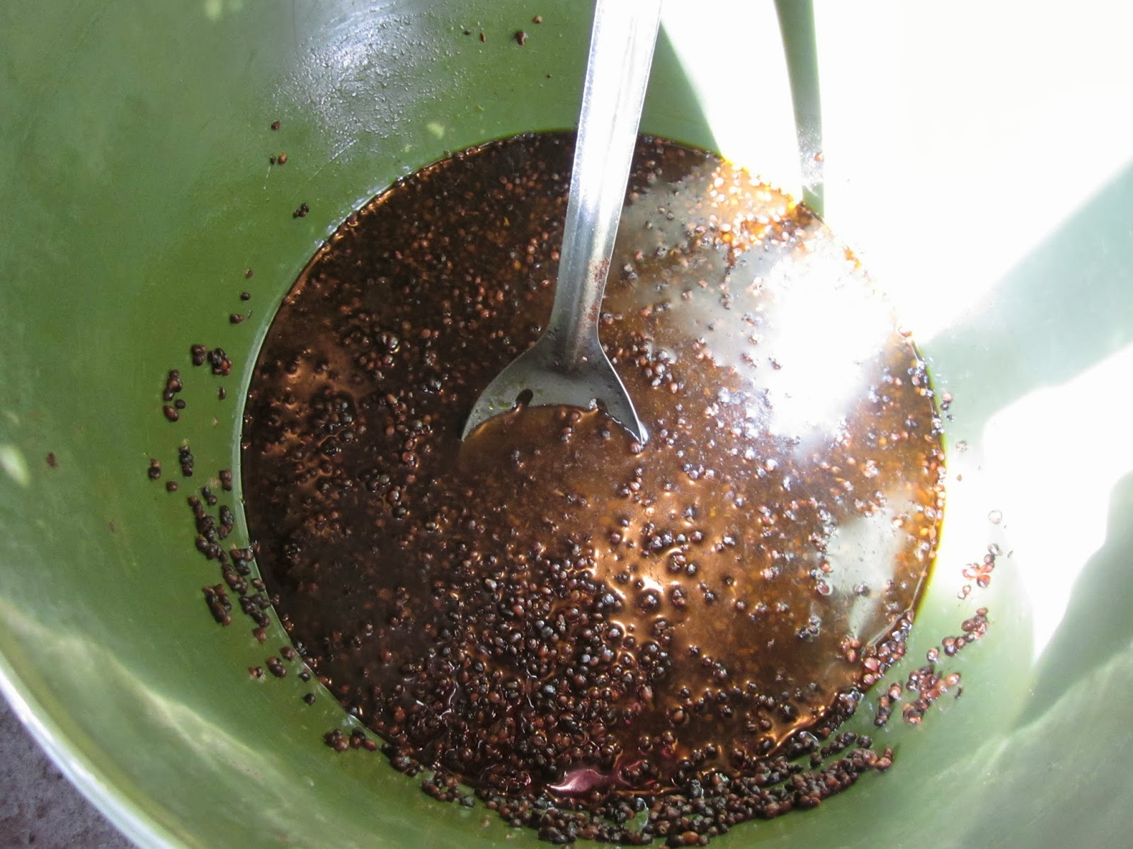 Carp Fishing Lifestyle How to properly prepare hemp seed for carp