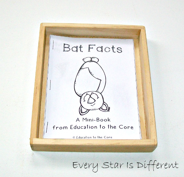 Bat Activities for Preschoolers with Free Printables Every Star Is