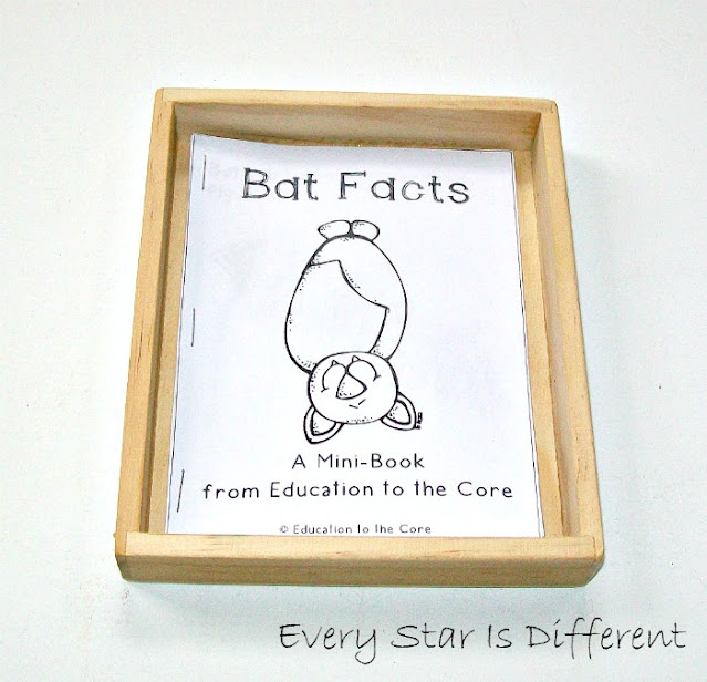 Bat facts book