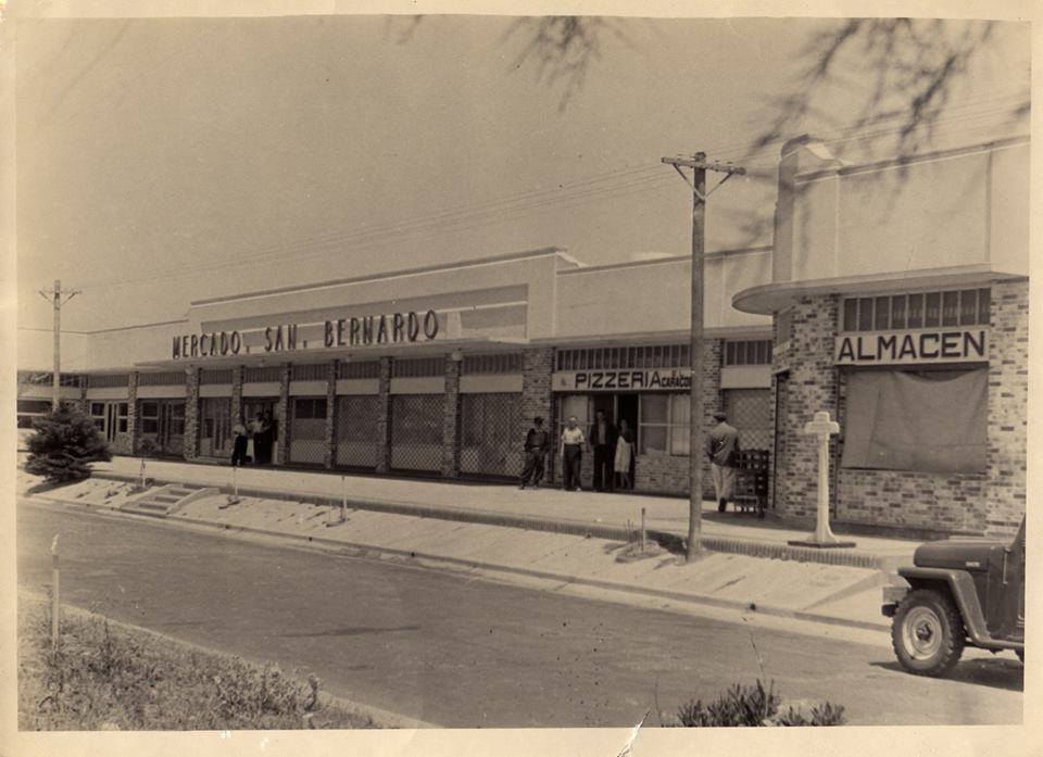 pronostico san bernardo