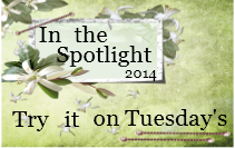 TIOT SPOTLIGHT