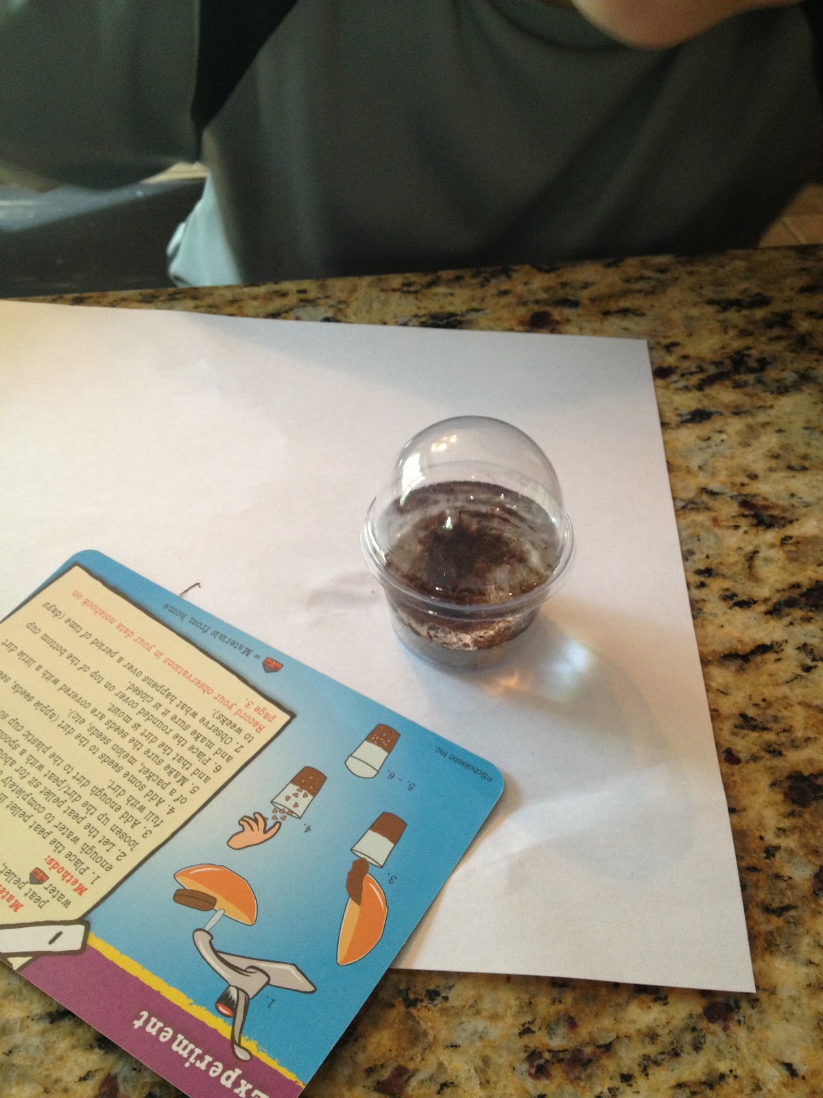 Summer Activities Using Magic School Bus Weather Lab Staying Close To Home