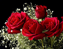 hermosas flores mas rosas mundo roses siguientes son