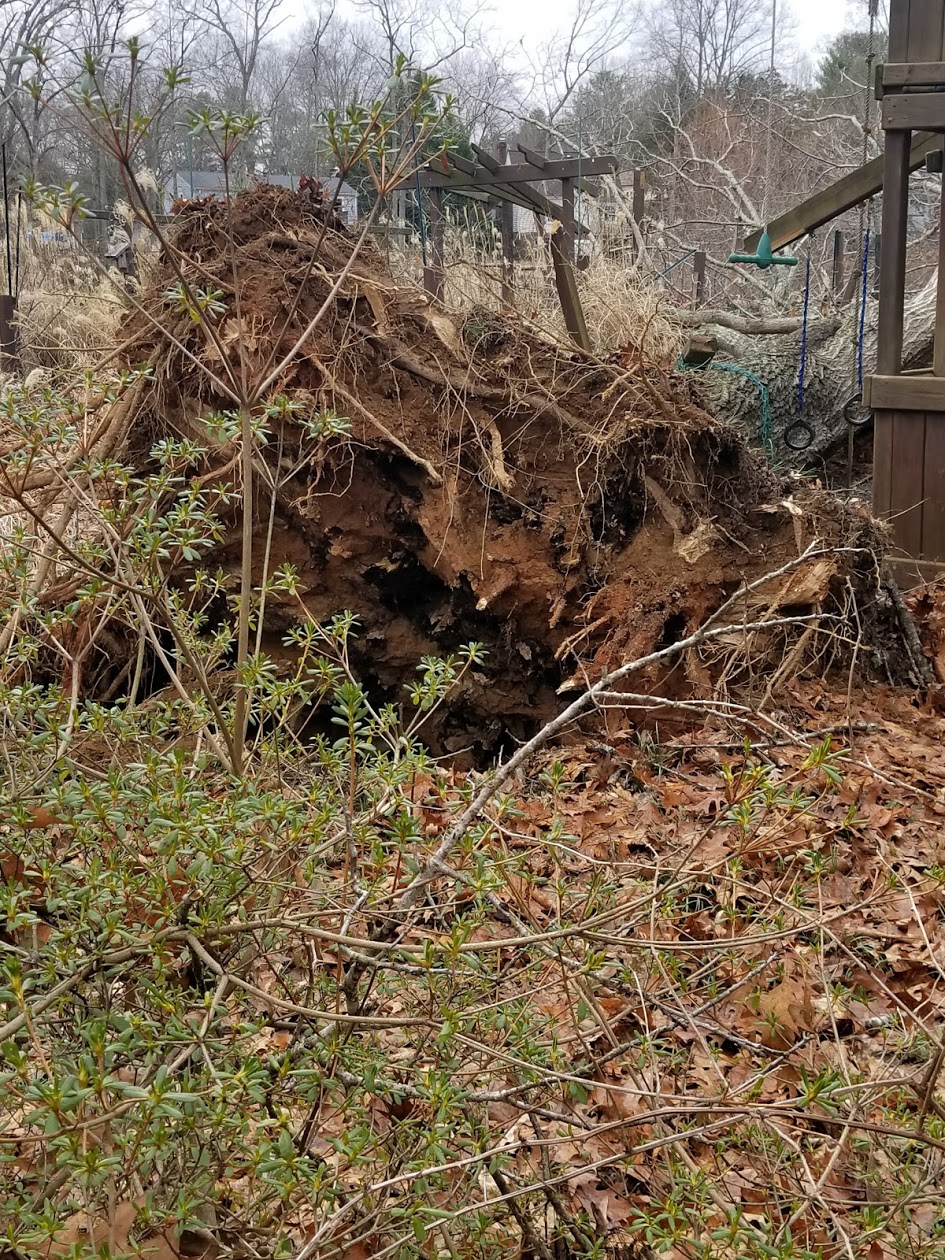 Charlottesville Auto Insurance Blog Quotes For Car Insurance In