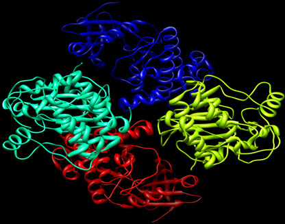 showing 3D Structure of Aurora kinase A