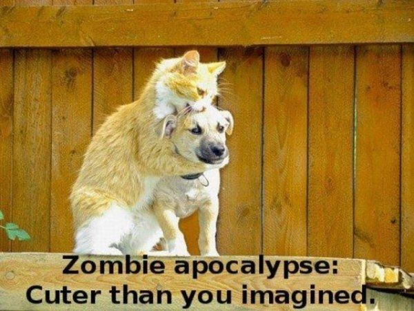 Zombie_Apocalypse.jpg