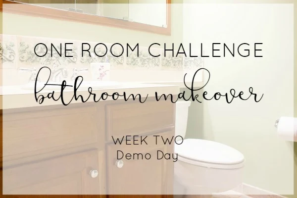It's demo day! Master bathroom demolition for the One Room Challenge makeover.