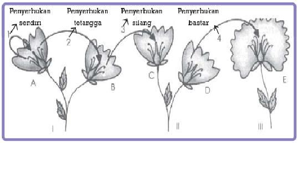 PERKEMBANGBIAKAN HEWAN DAN TUMBUHAN 2016