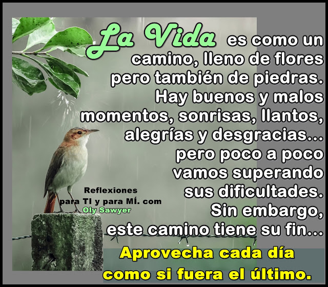 Que Pasa Si Desaparezco De La Vida De Mi Ex