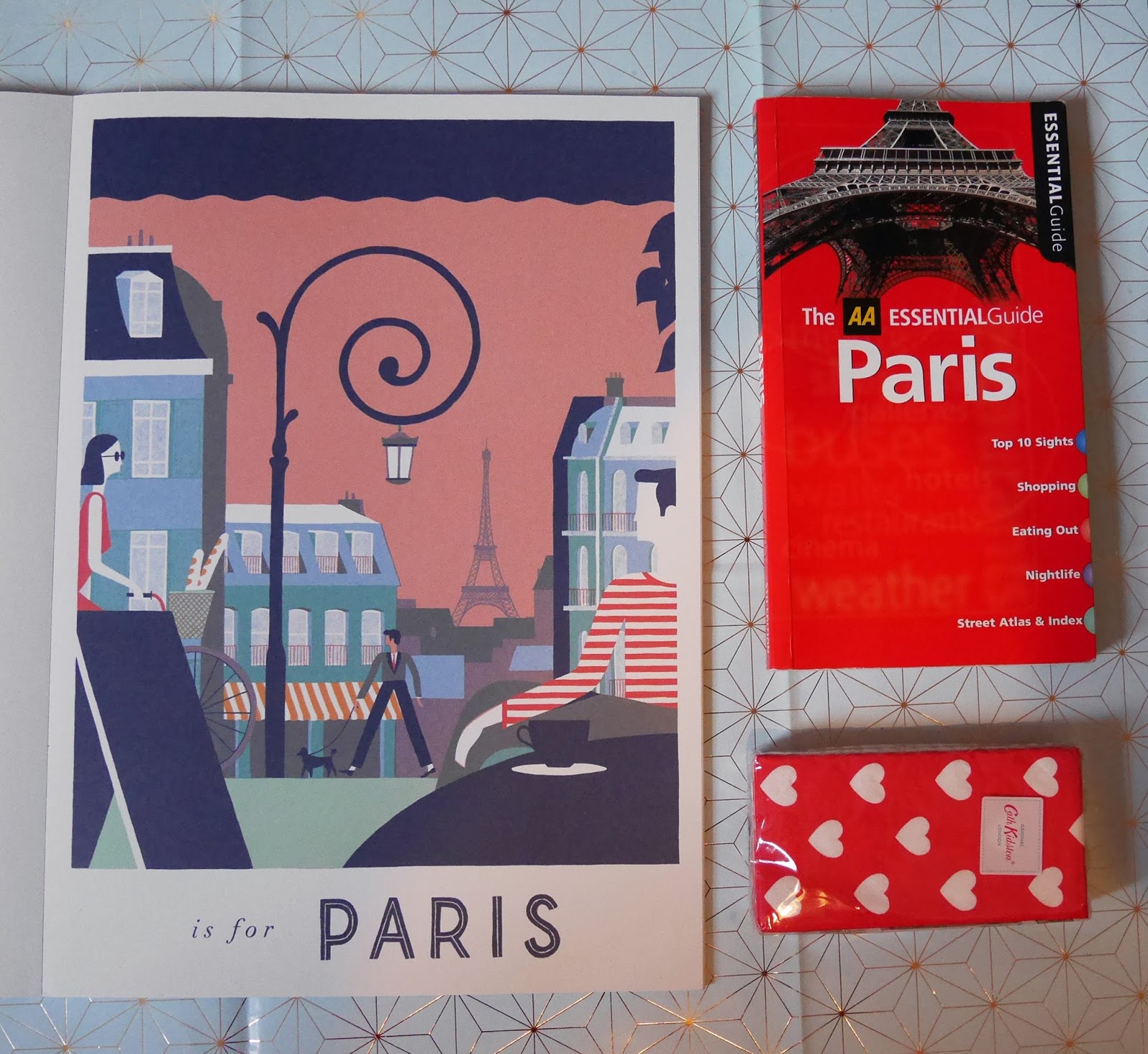 Paris travel books
