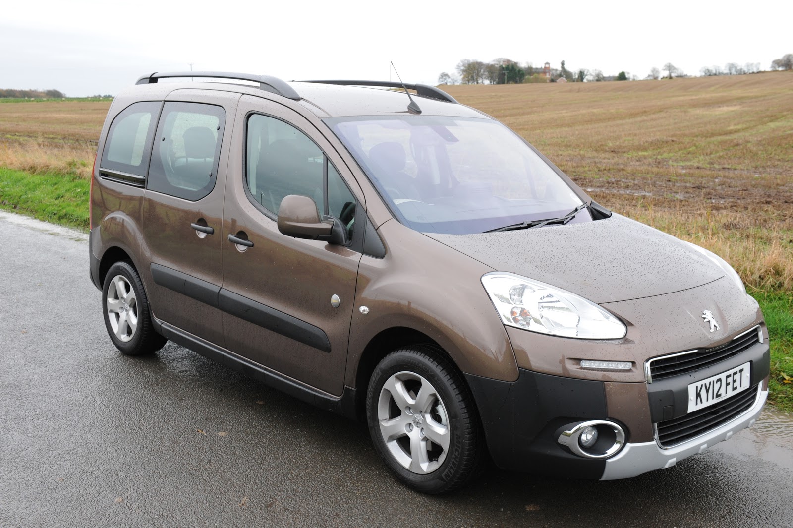 The Dirty Secret Of Peugeot Partner Engines Is Yours Affected - enk60jh