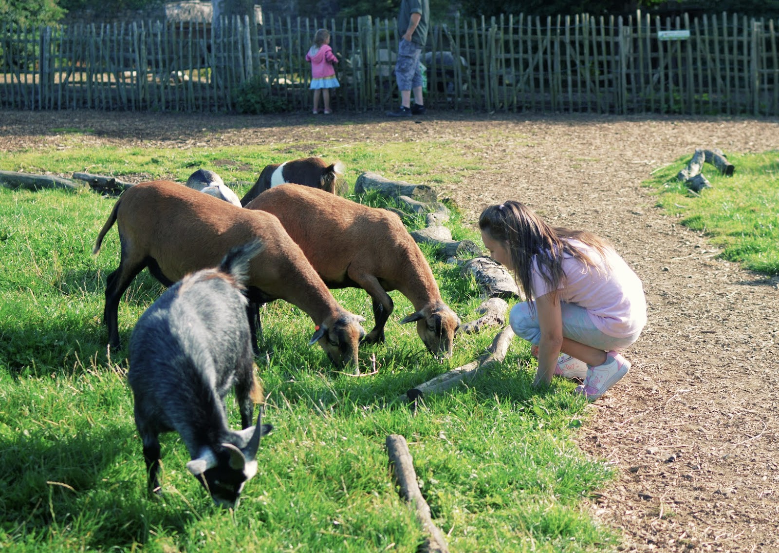, Fifteen Reasons Why We Love:  Manor Park (Anna&#8217;s Welsh Zoo)