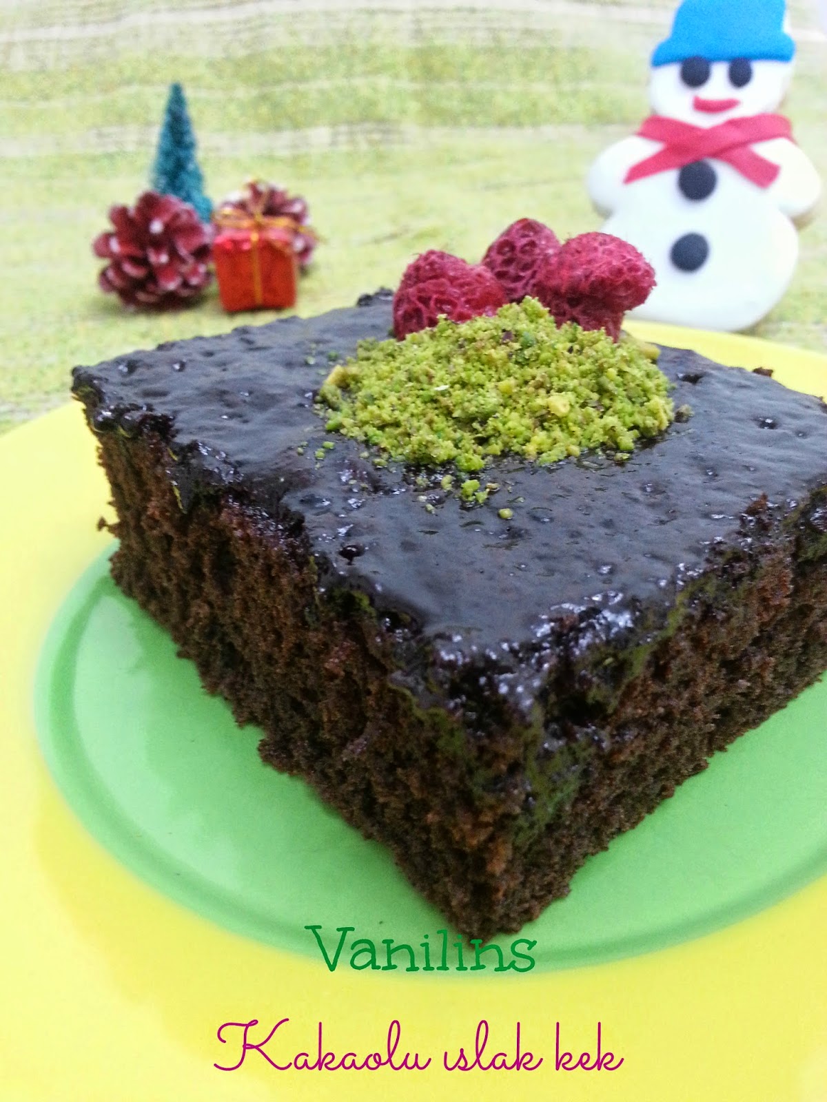 Kakaoulu Islak Kek (2) Vanilins