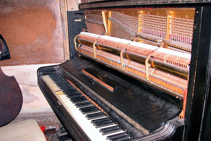 Ingin Belajar Piano Apa Keyboard ? Simak dan Temukan Perbedaannya !