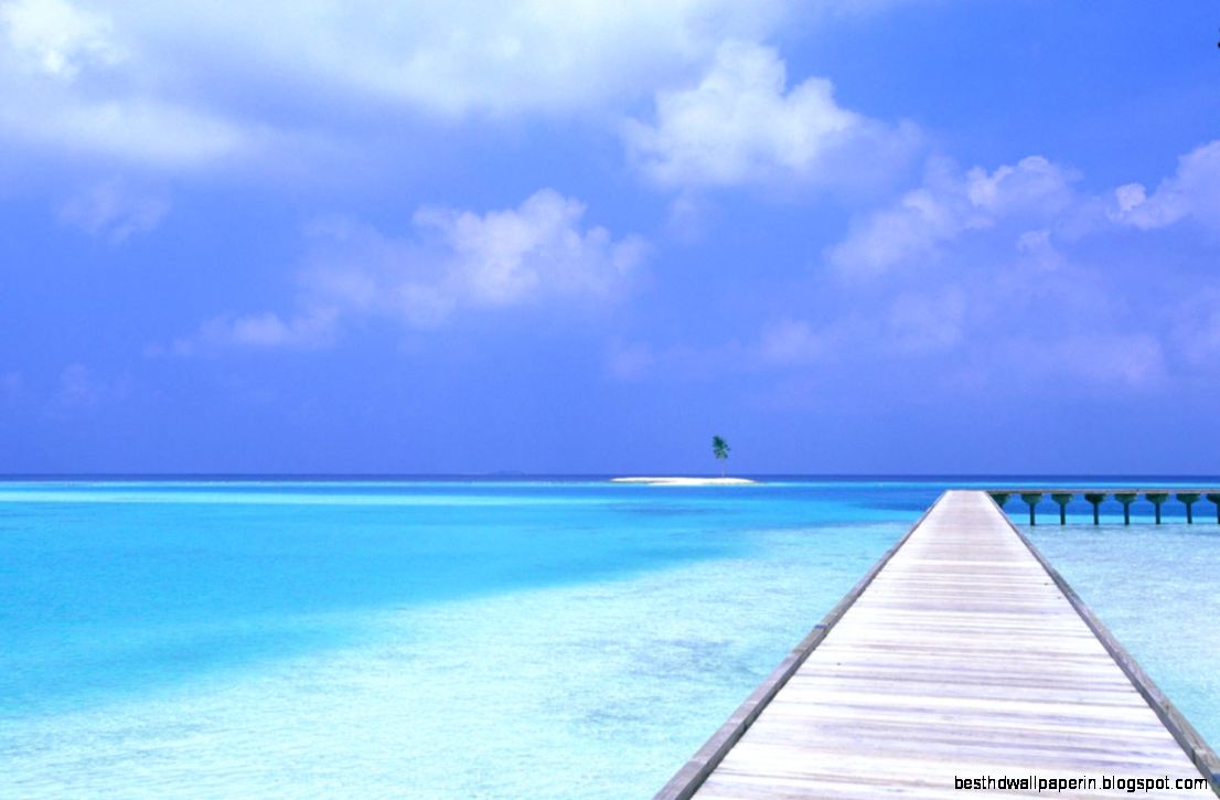 Beach Bridge Nature Background Wallpapers  Natural Background