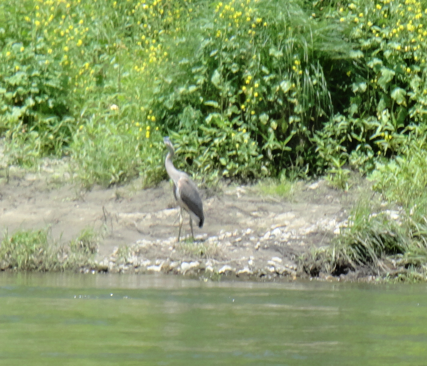 Russman's spot Camping & Tubing on the Zumbro River