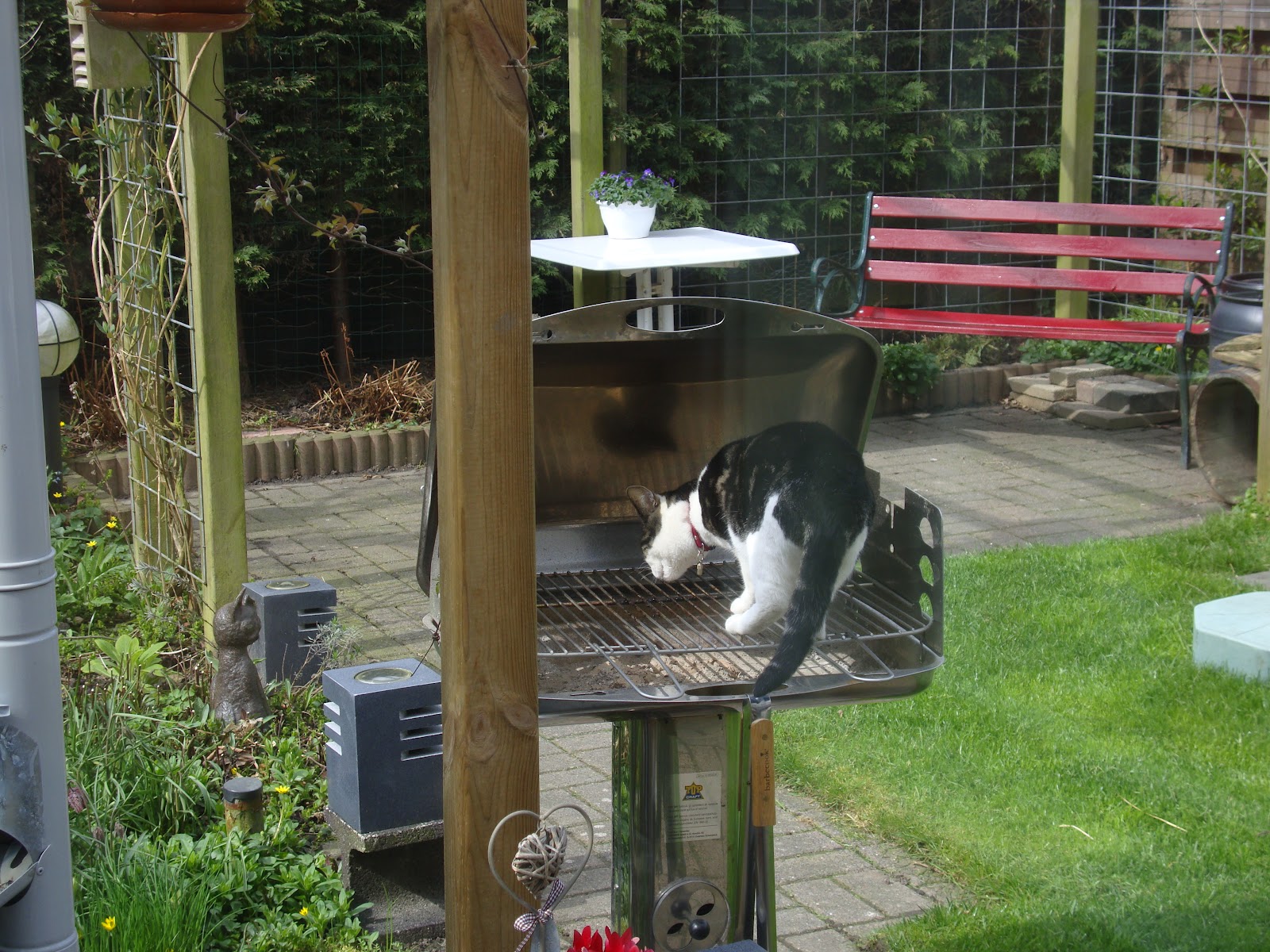 Nieuwtjes Aan 't Voorstik Om der