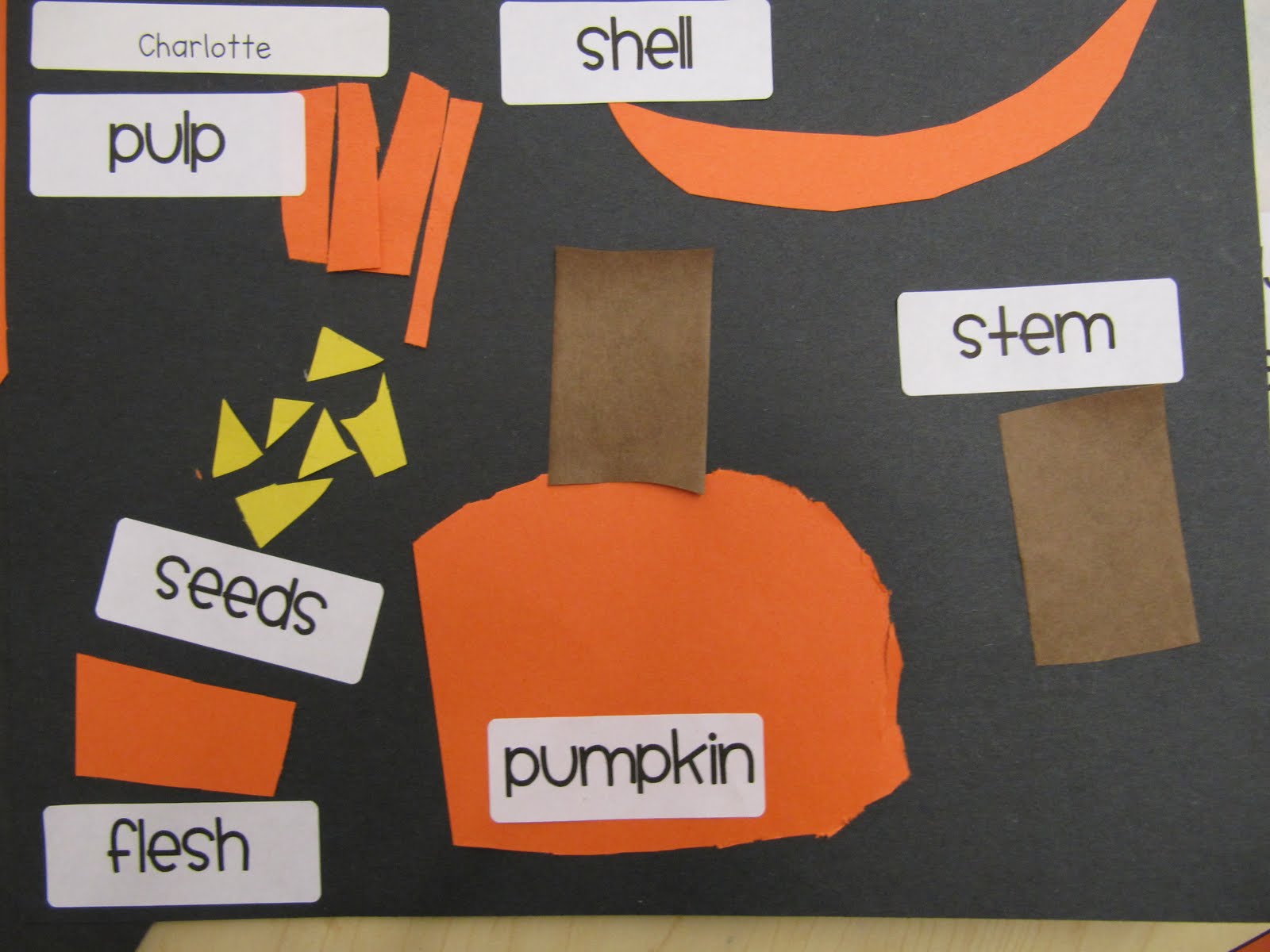 KC Kindergarten Times: Parts to A Pumpkin
