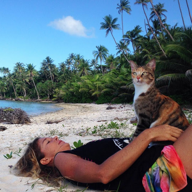 кошка путешествует с хозяйкой кошка путешествует с хозяйкой