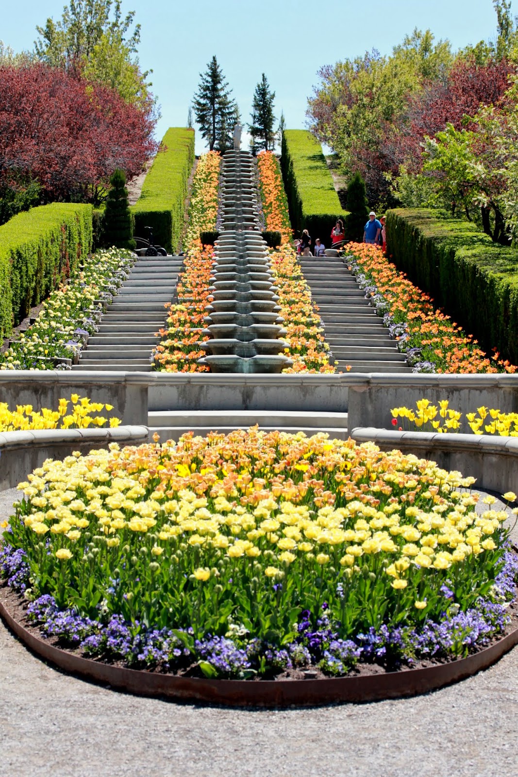 Jill s World of Research Reaction and Millinery Tulip Festival