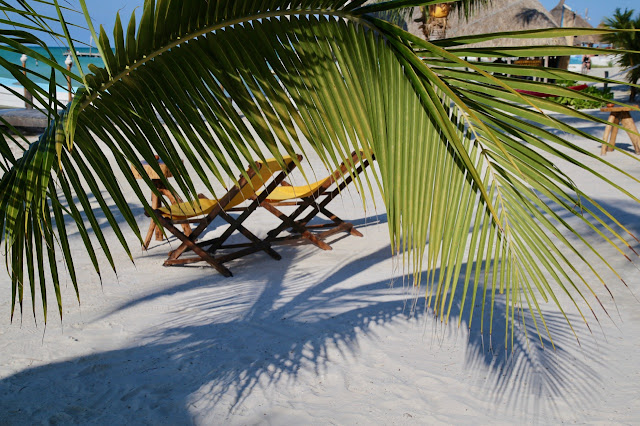 holbox,yucatan, mexico
