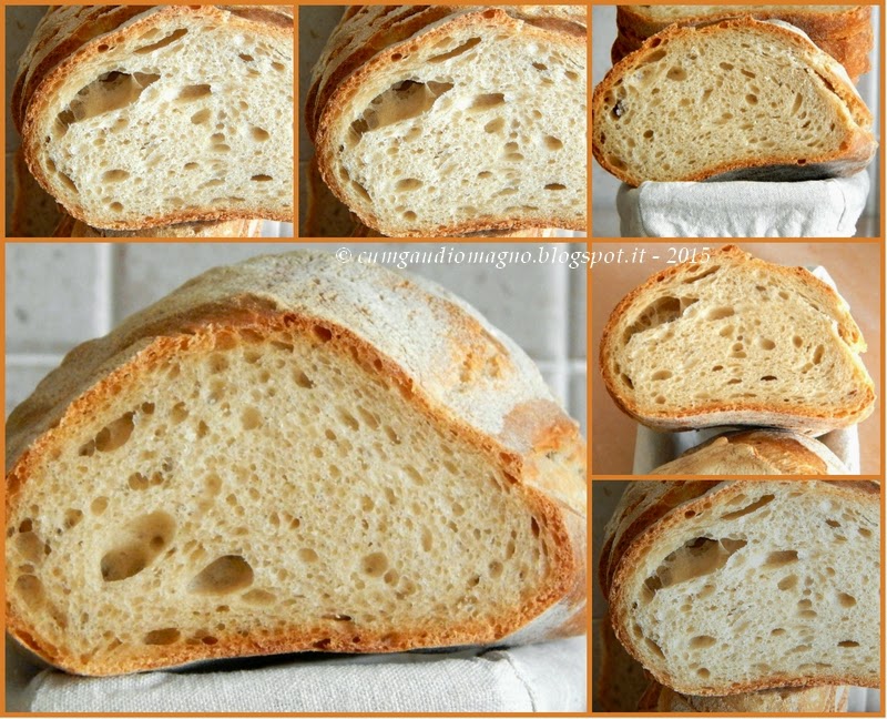 Cum Gaudio Magno: Pane (quasi) senza impasto al pomodoro e rosmarino
